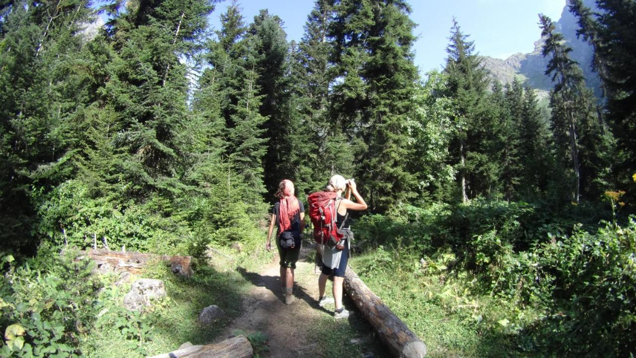 Iason Guest House In Mazeri Mestia Kültér fotó